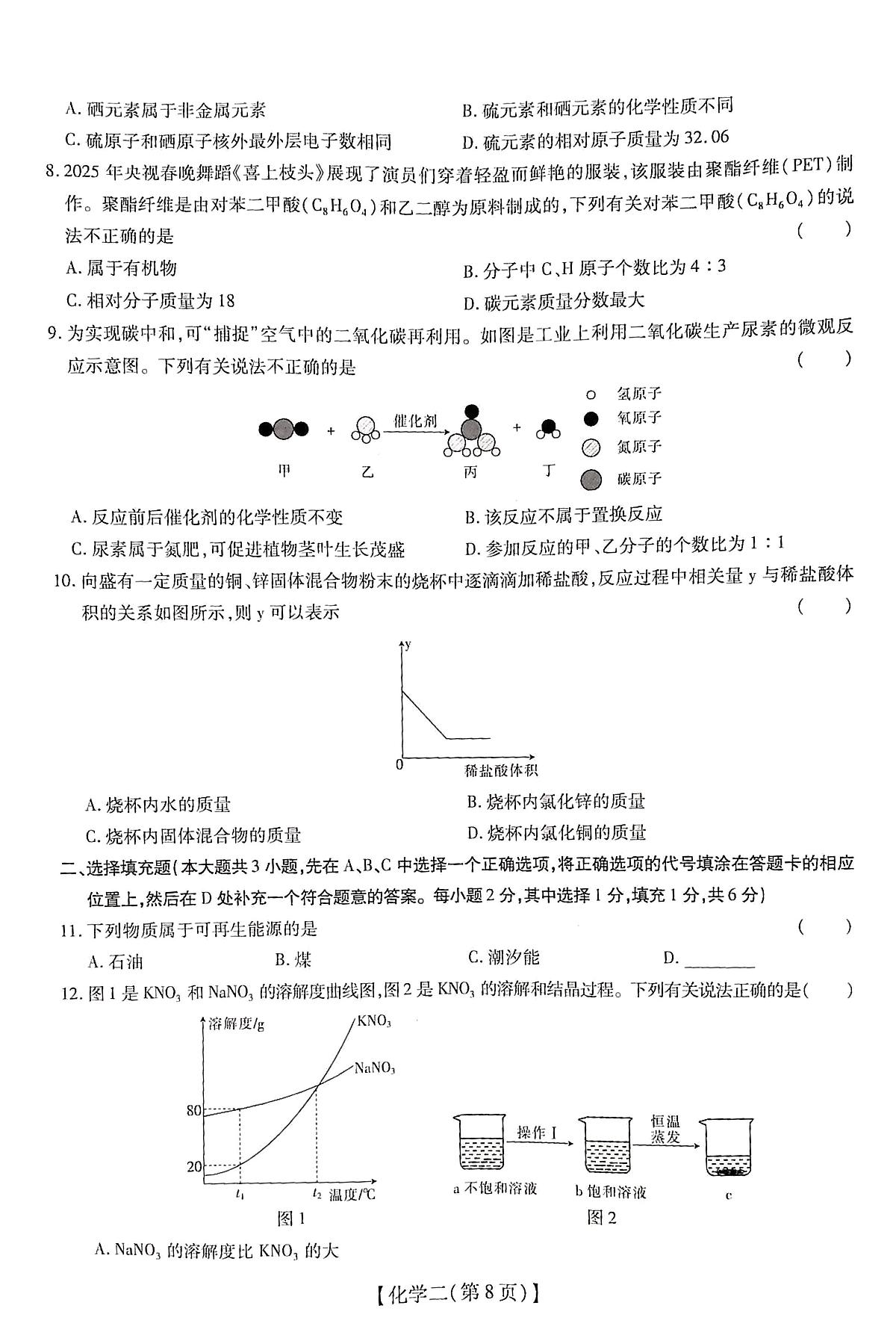2025年江西省新余市分宜县中考第三次模拟考试化学试卷（中考模拟）第2页