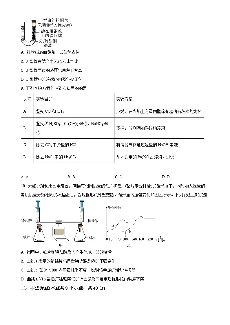 2025年河北省廊坊市安次区二模化学试题（中考模拟）第3页