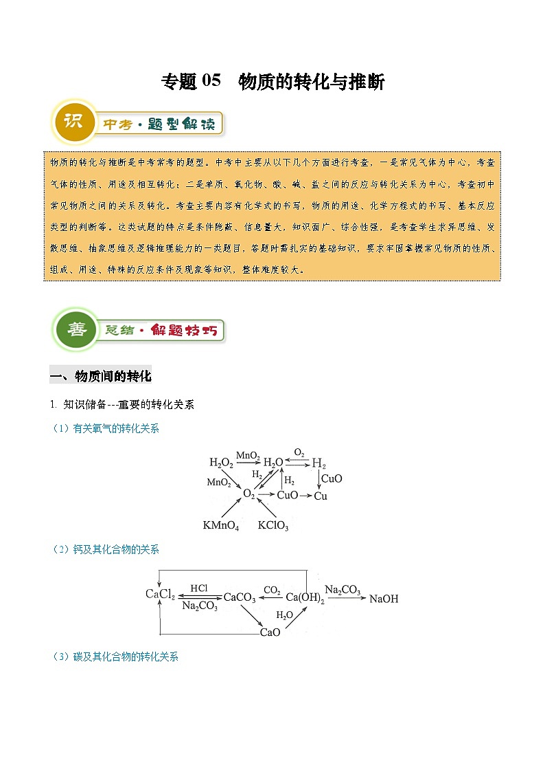 2025年中考化学专项复习专题05 物质的转化与推断-2024年中考化学答题技巧与模板构建（原卷版）第1页