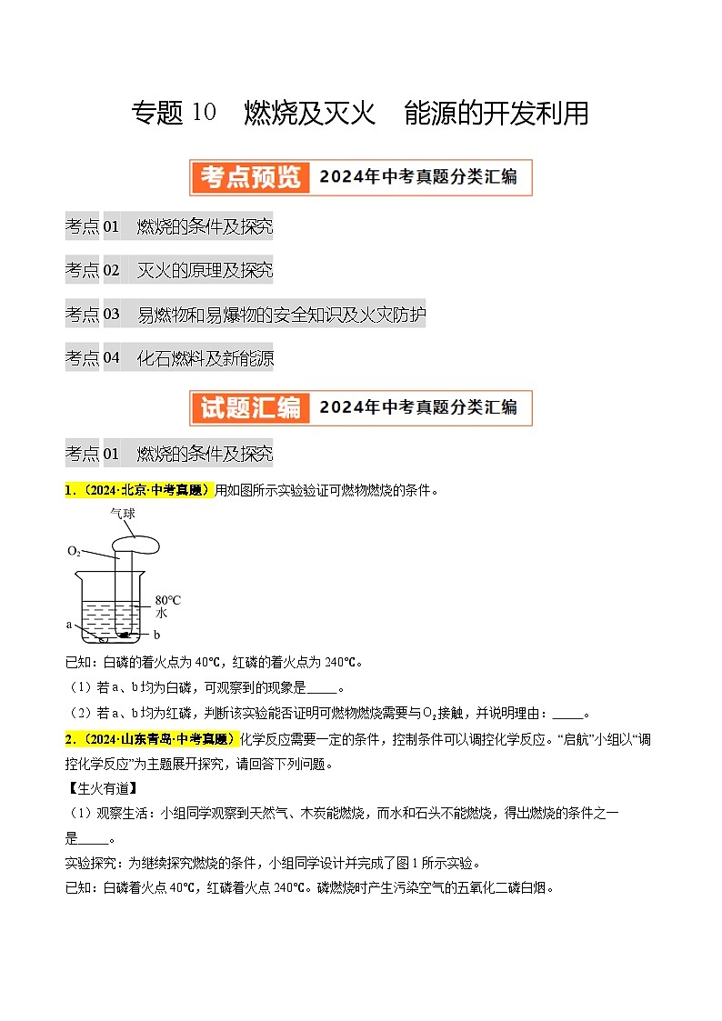 专题10 燃烧及灭火 能源的开发利用（第03期）（学生版）第1页