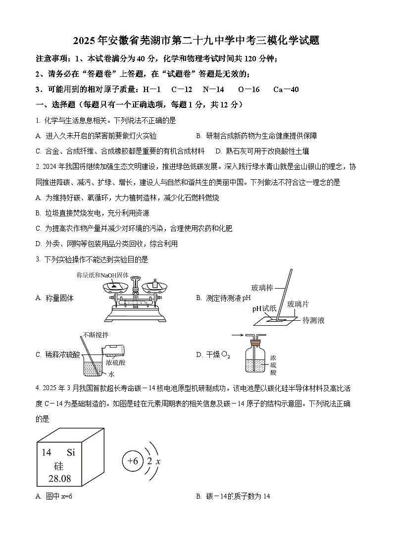 2025年安徽省芜湖市第二十九中学中考三模化学试题（中考模拟）第1页