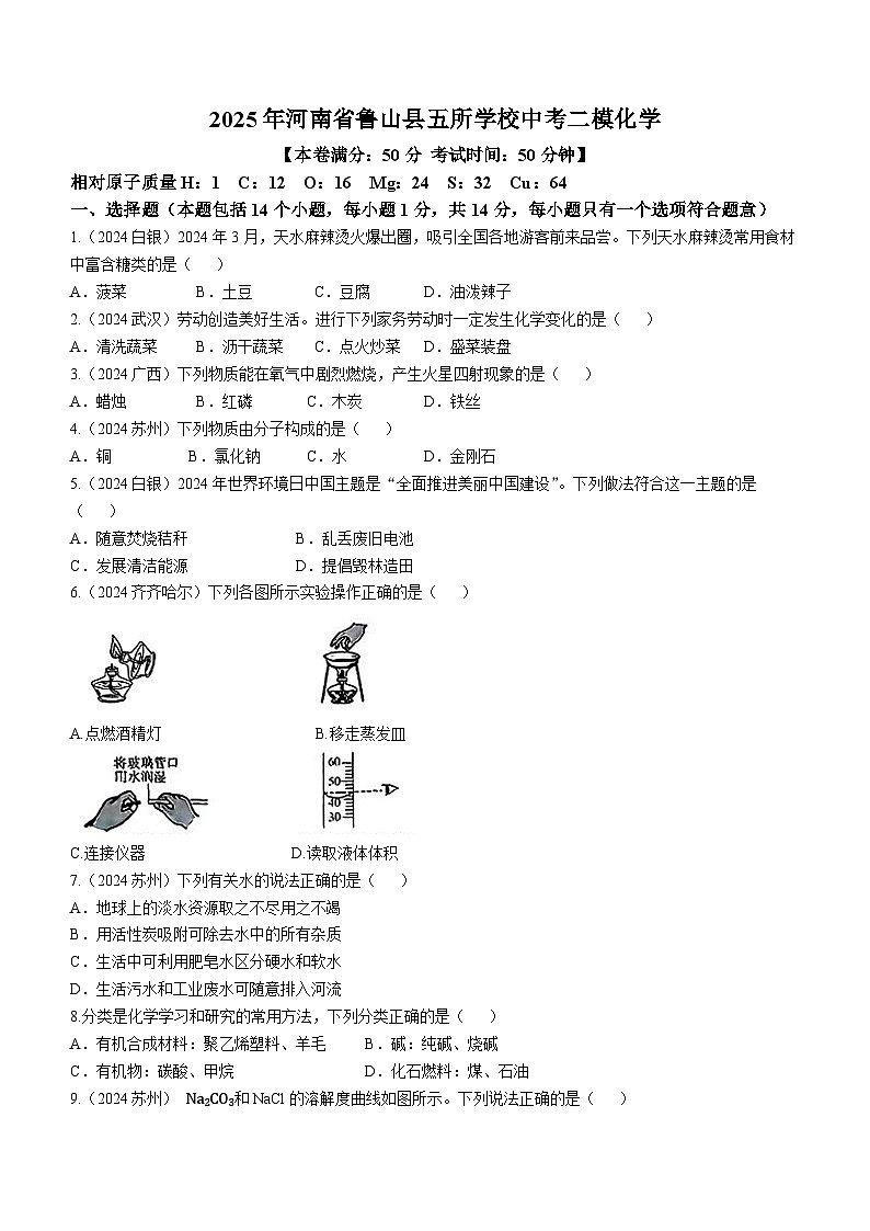 2025年河南省平顶山市鲁山县五所学校中考二模化学试题（中考模拟）第1页