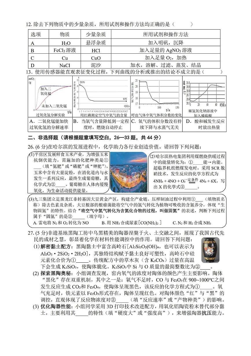 2025年黑龙江省哈尔滨市平房区中考三模化学试卷（中考模拟）第3页