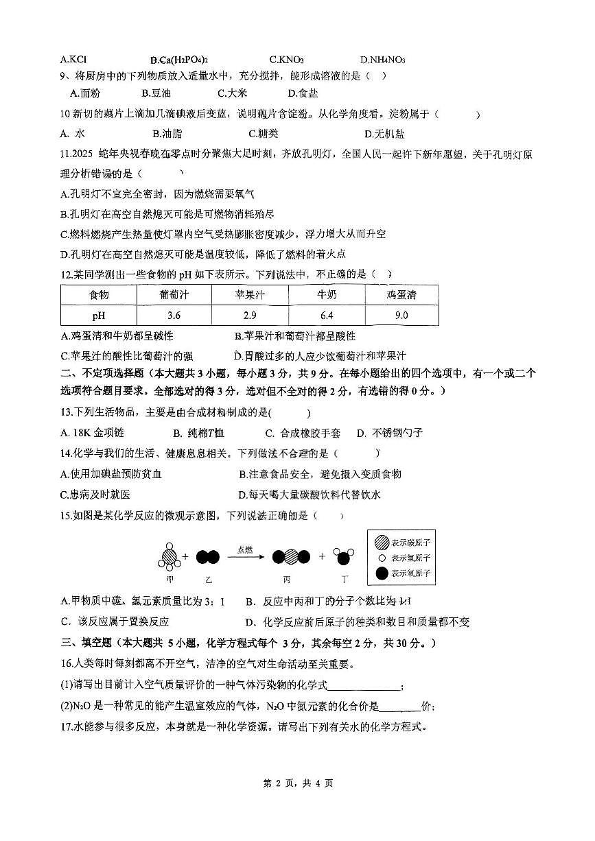 2025年湖南省长沙市雅礼麓谷中学中考三模化学试题（中考模拟）第2页