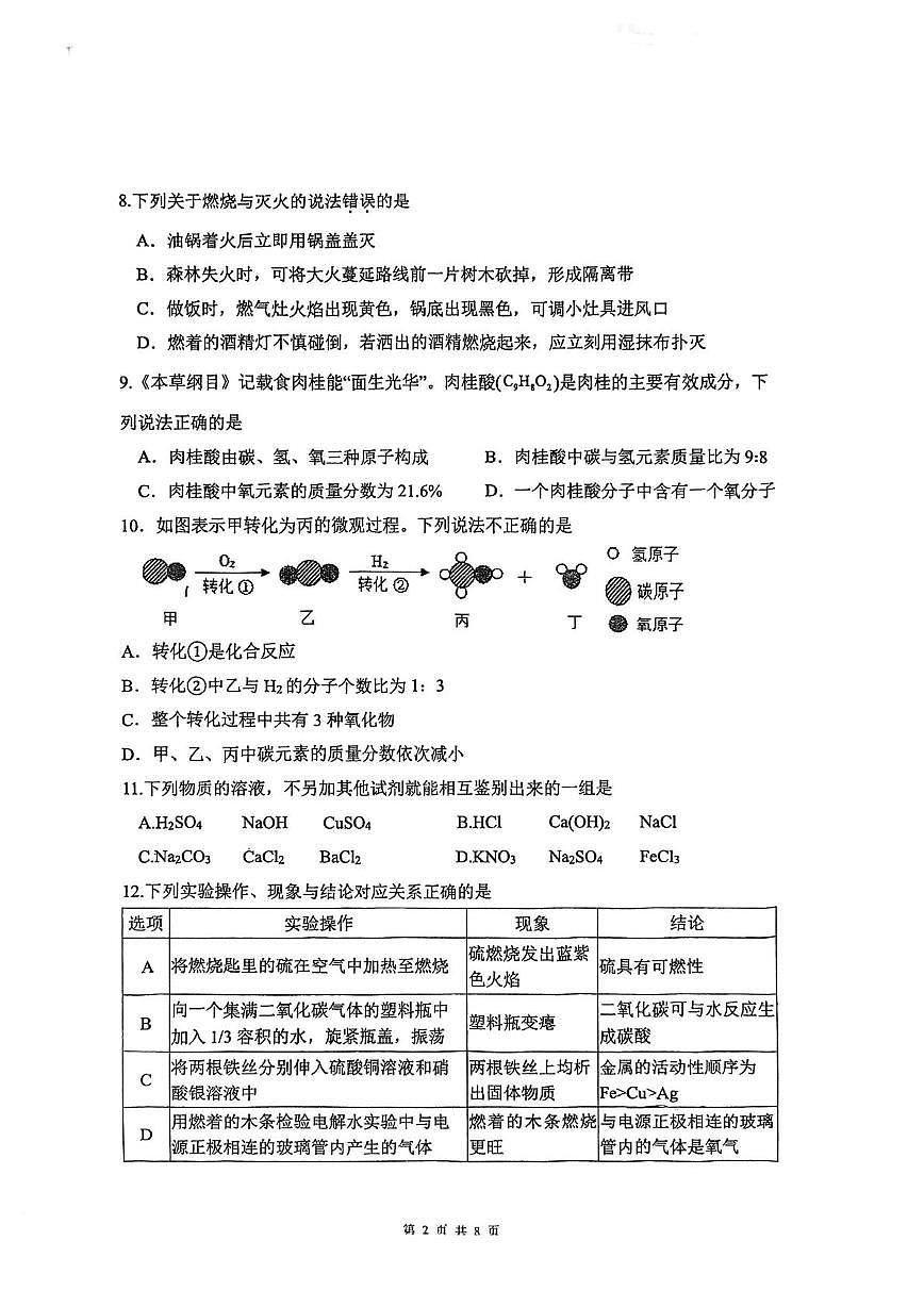2025年江苏省南京市金陵中学河西分校中考模拟三化学试卷（中考模拟）第2页