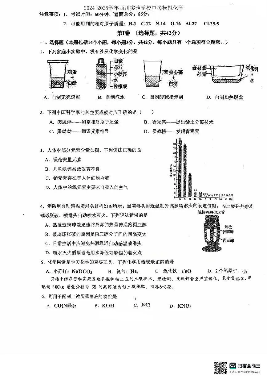 2025年四川省成都市武侯区西川实验学中考三模化学试卷（中考模拟）第1页