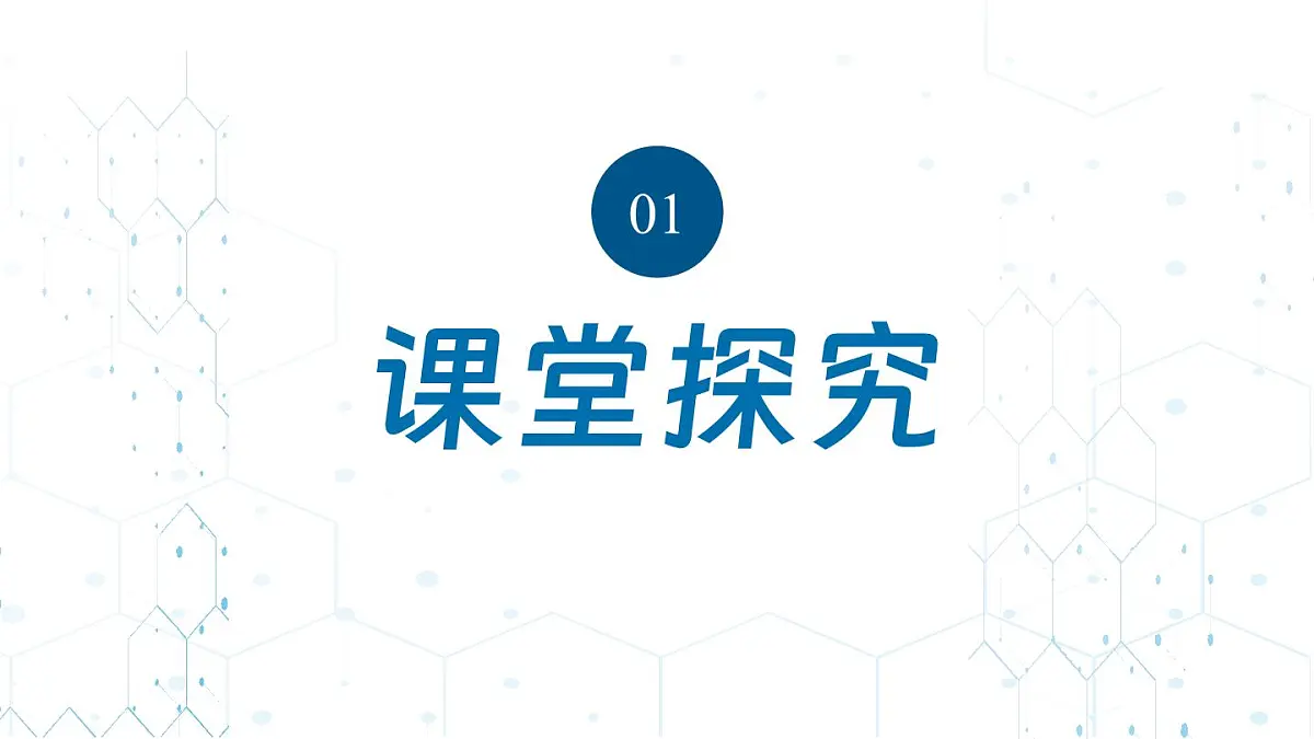 第3课时 走进科学探究第5页