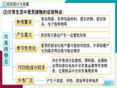 人教版化學(xué)2024九年級下冊 第8單元 跨學(xué)科實踐活動7  垃圾分類與回收利用 課件 PPT課件
