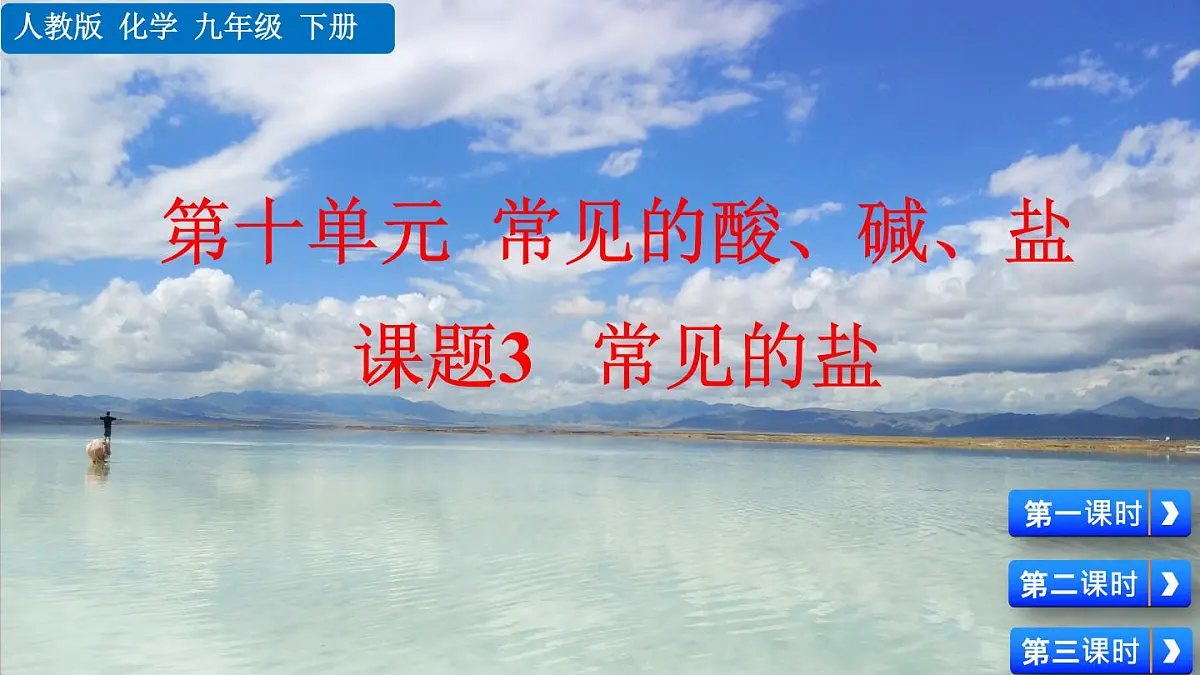 课题3 常见的盐第1页