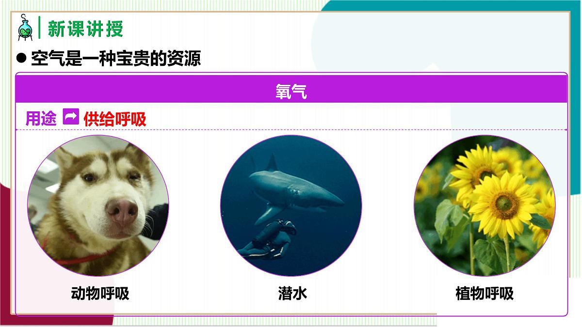 人教版化学2024 九年级上册 第二单元 课题1 我们周围的空气 第二课时（同步课件）第6页