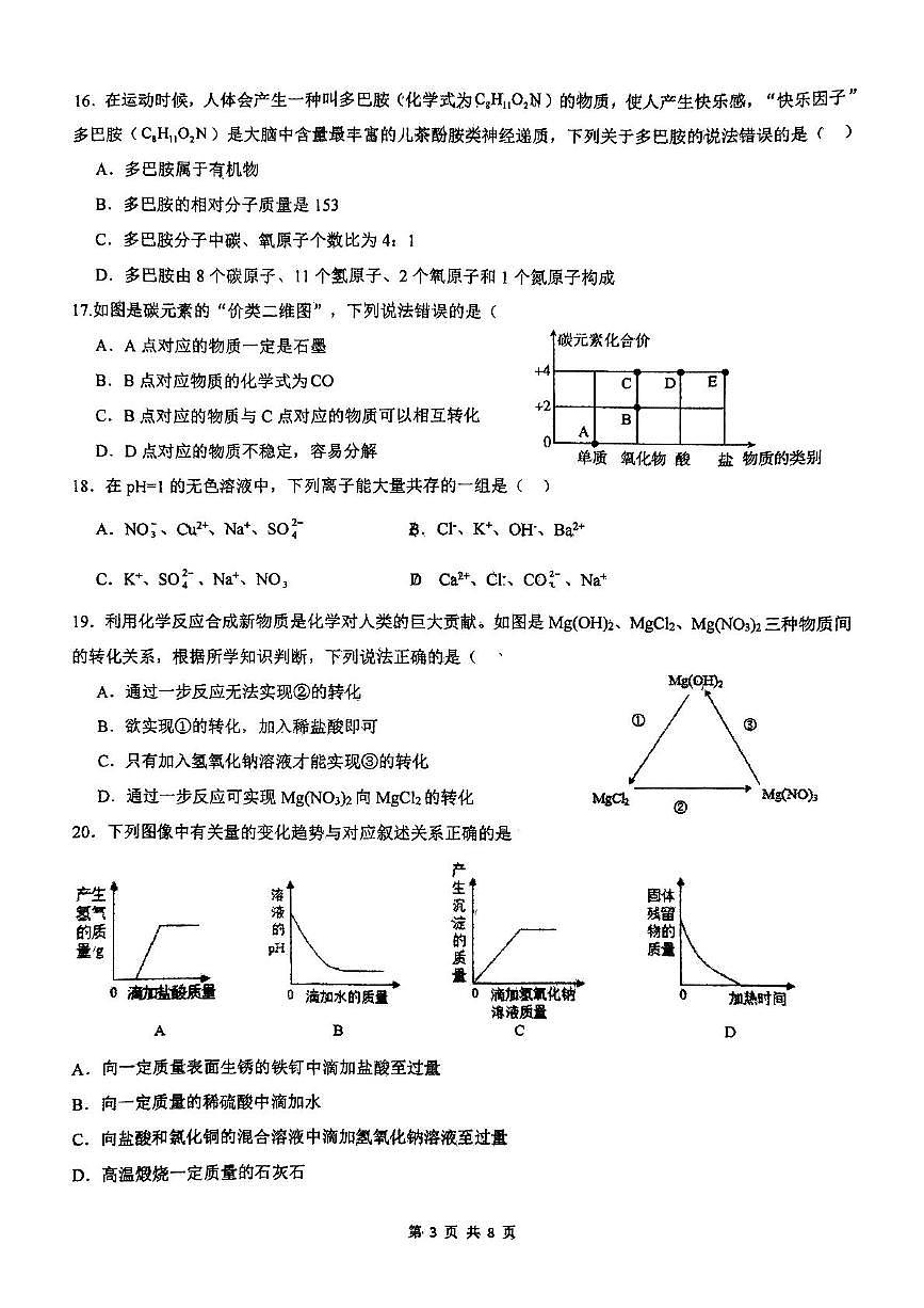 2025年广西大学附属中学中考模拟测试化学试卷（中考模拟）第3页