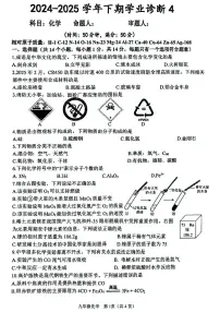 2025年河南省郑州市实验中学中考四模考试化学试卷(中考模拟)