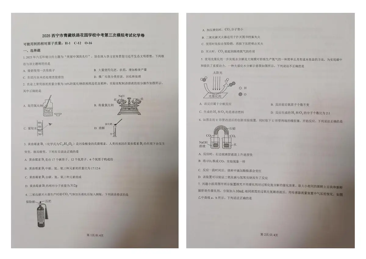 2025年青海省西宁市青藏铁路花园学校中考第三次模拟考试化学试卷（中考模拟）第1页