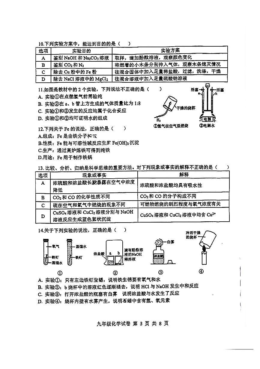 2025年广东省广州市外国语学校中考三模化学卷第3页