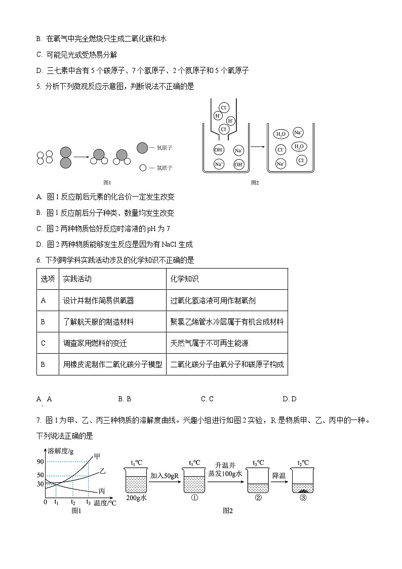 2025年广东省深圳市南山外国语集团中考第三次模拟考试化学试题（中考模拟）第2页