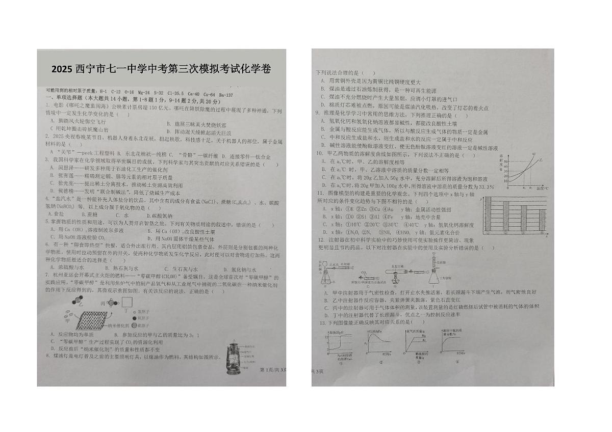 2025年青海省西宁市七一中学中考第三次模拟考试化学试卷（中考模拟）第1页