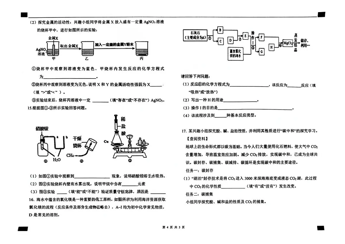 2025年河北省石家庄外国语学校中考三模化学卷第3页
