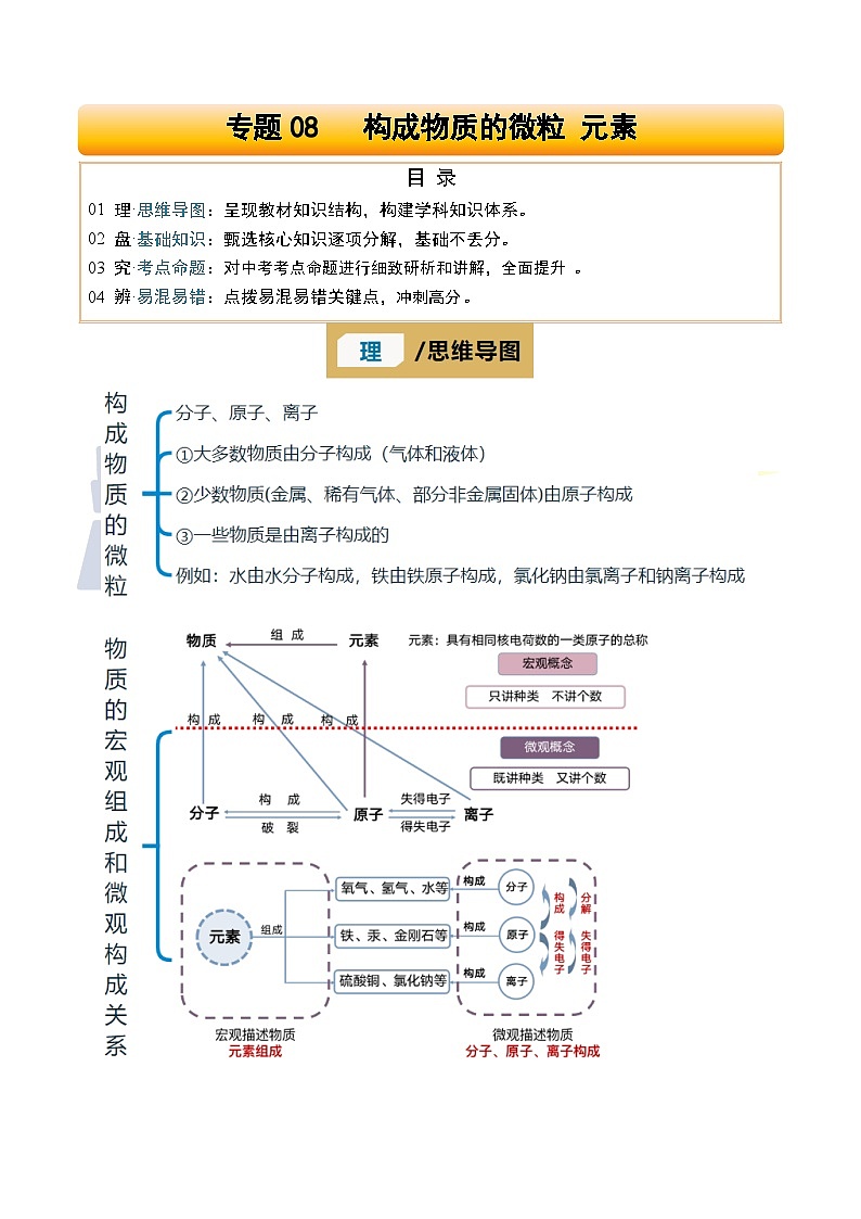 专题08 构成物质的微粒 元素（原卷版）第1页