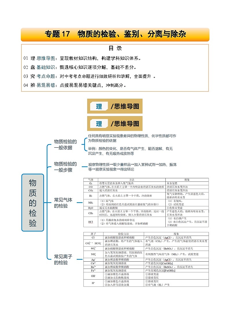 专题17 物质的检验、鉴别、分离与除杂（原卷版）第1页