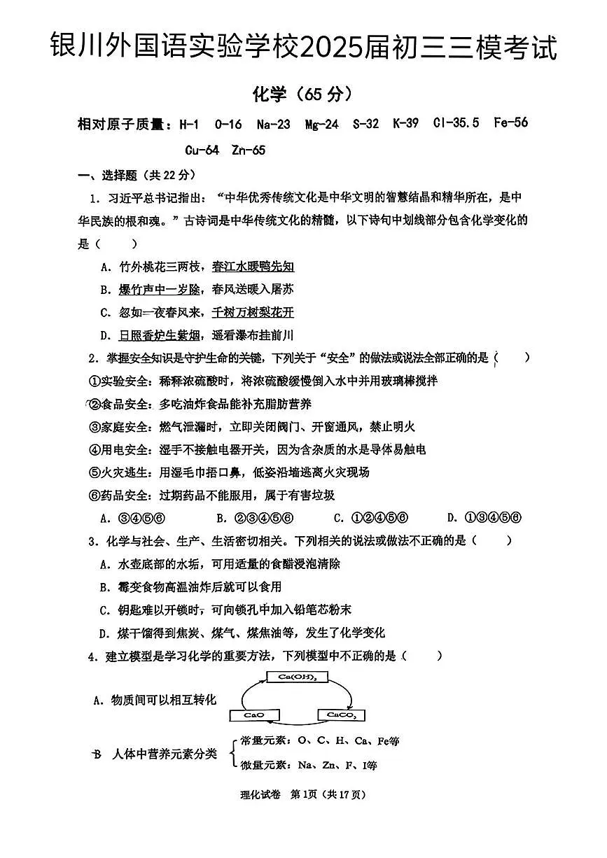 2025年宁夏银川外国语实验学校中考三模考试化学试卷（中考模拟）第1页