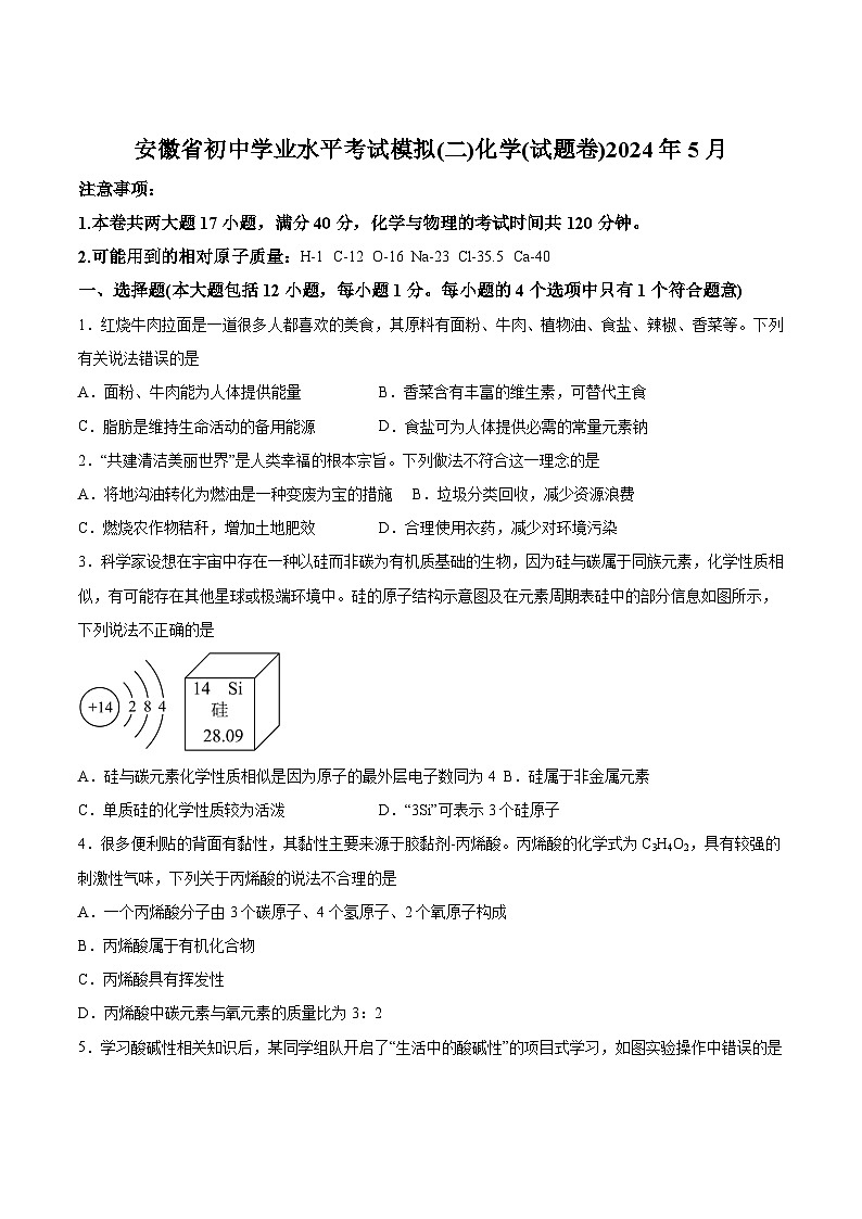 【9化三模】2024年安徽省合肥市寿春中学中考三模化学试卷第1页