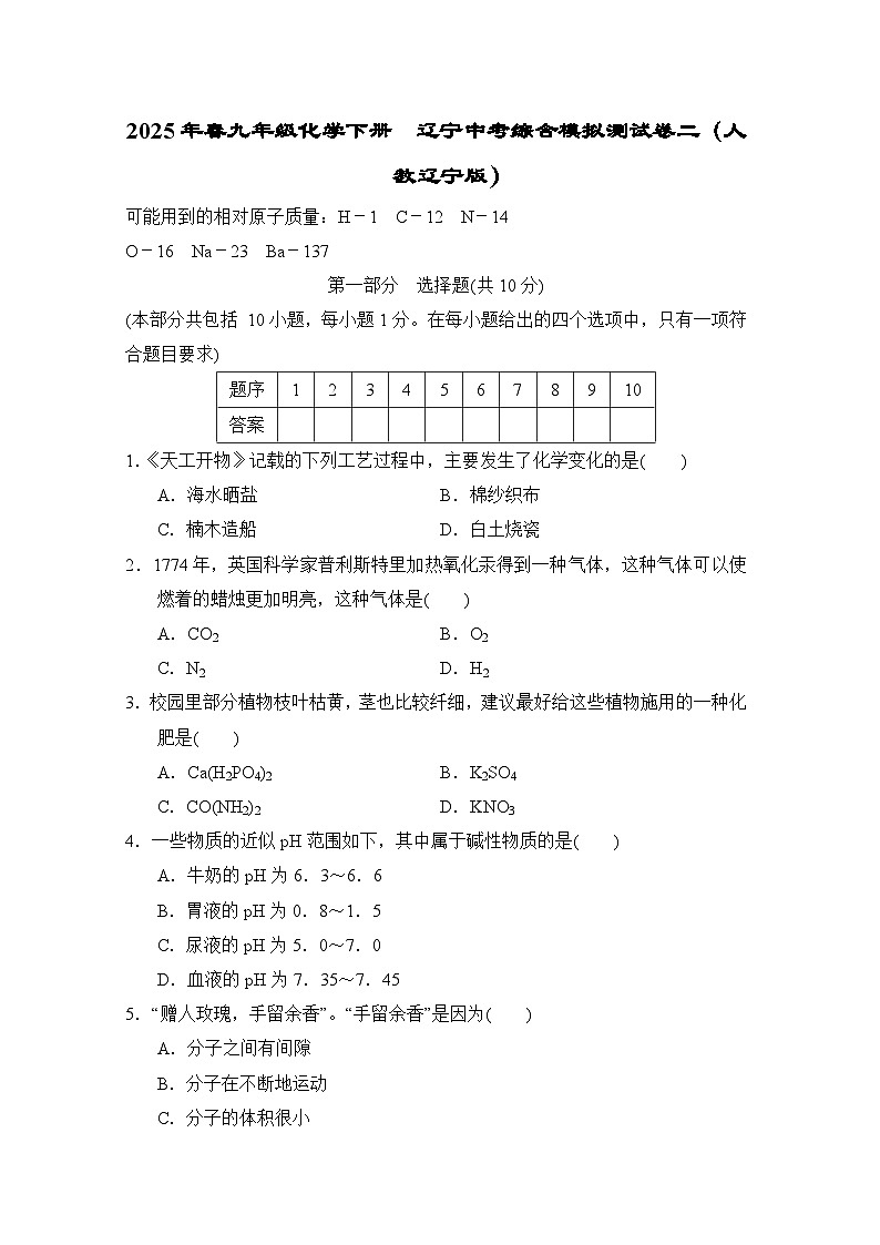 2025年春九年级化学下册  辽宁中考综合模拟测试卷二（人教辽宁版）第1页