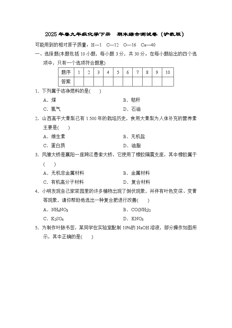 2025年春九年级化学下册  期末综合测试卷（沪教版）第1页