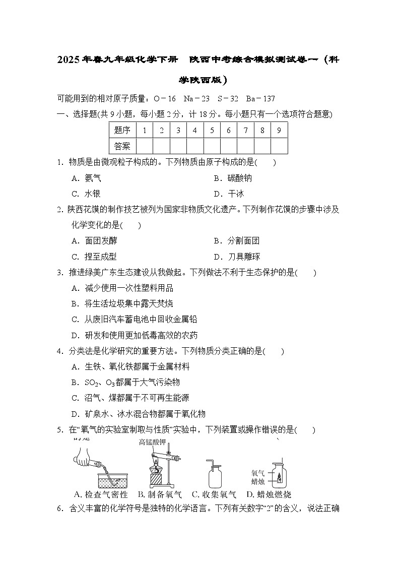 2025年春九年级化学下册  陕西中考综合模拟测试卷一（科学陕西版）第1页