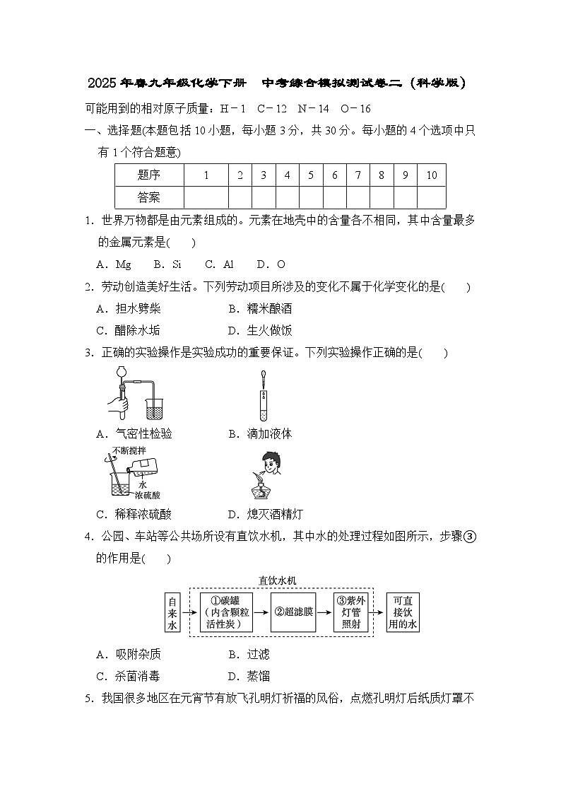 2025年春九年级化学下册 中考综合模拟测试卷二（科学版）第1页