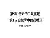 滬教版(2024)化學(xué)九年級(jí)上冊(cè) 5.3 自然界中的碳循環(huán) （課件）