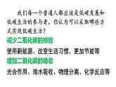 沪教版(2024)化学九年级上册 跨学科实践活动4 探寻低碳生活的行动方案 （课件）