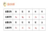 滬教版(2024)化學(xué)九年級(jí)上冊 6.2 金屬的性質(zhì)和應(yīng)用 第1課時(shí) 金屬的性質(zhì) （課件）