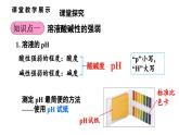 沪教版(2024)化学九年级下册 8.1 溶液的酸碱性 第2课时 溶液酸碱性的强弱 （课件）