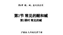 沪教版（2024）九年级下册（2024）常见的酸和碱示范课ppt课件