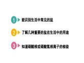 沪教版(2024)化学九年级下册 8.4 几种重要的盐 第2课时 几种常见的盐 （课件）