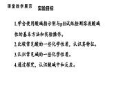 沪教版(2024)化学九年级下册 基础实验8 常见酸、碱的化学性质 （课件）