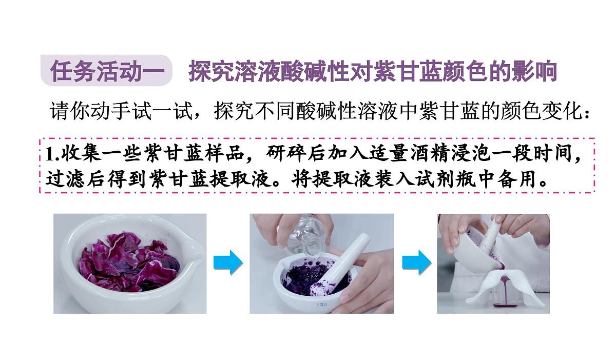 跨学科实践活动7 探究溶液酸碱性对紫甘蓝颜色的影响第3页
