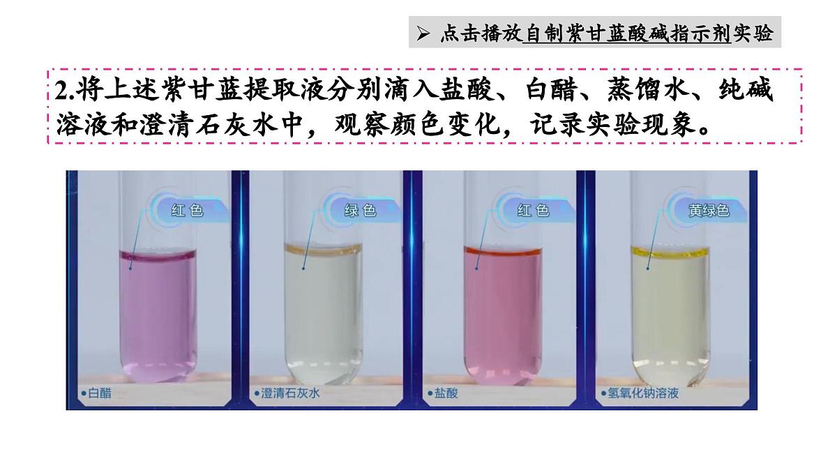 跨学科实践活动7 探究溶液酸碱性对紫甘蓝颜色的影响第4页