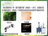 【核心素養(yǎng)】人教版初中化學九上《我們周圍的空氣（1）》課件+教案+學案
