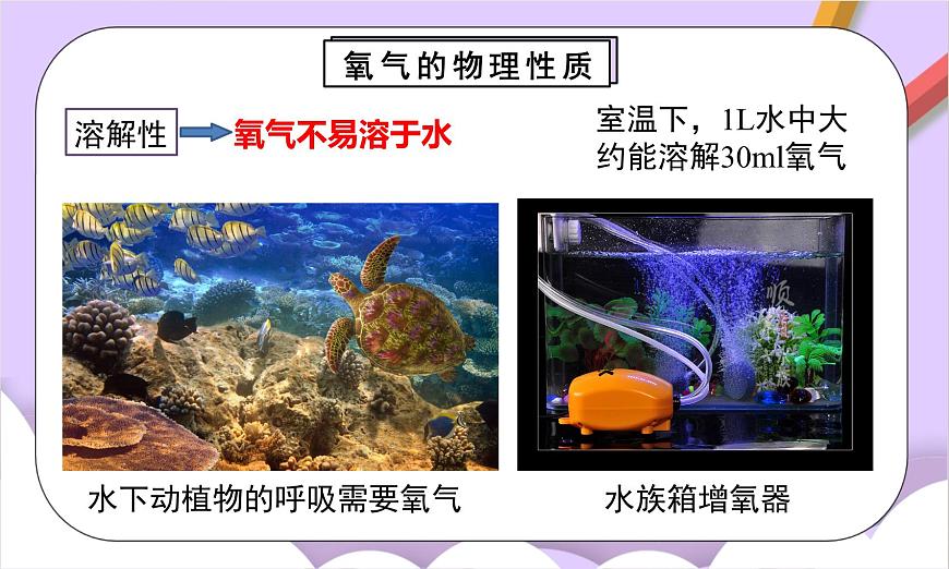 人教版（2024）化学九上 第二单元2.1《氧气》课件第8页