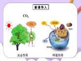 人教版（2024）化學(xué)九上 第六單元2.1《碳的氧化物》課件+教案+導(dǎo)學(xué)案+分層練習(xí)+素材
