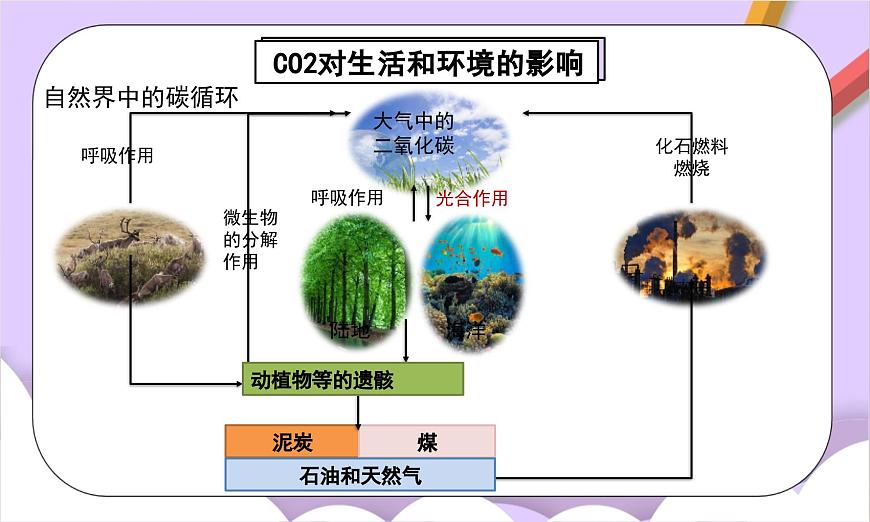 人教版（2024）化学九上 第六单元2.2《碳的氧化物》课件第7页