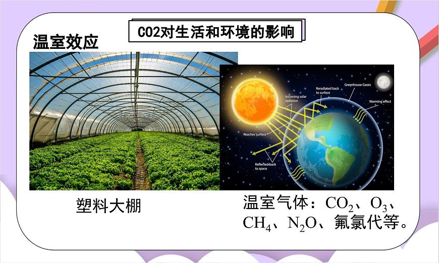 人教版（2024）化学九上 第六单元2.2《碳的氧化物》课件第8页