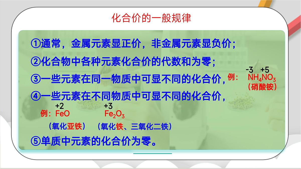 鲁教版（五四制）（2024）化学八年级全册 3.3《物质组成的表示（二）》课件第5页