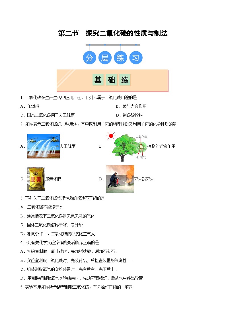 鲁教版（五四制）（2024）化学八年级全册6.2《 探究二氧化碳的性质与制法》分层练习 （原卷 ）第1页