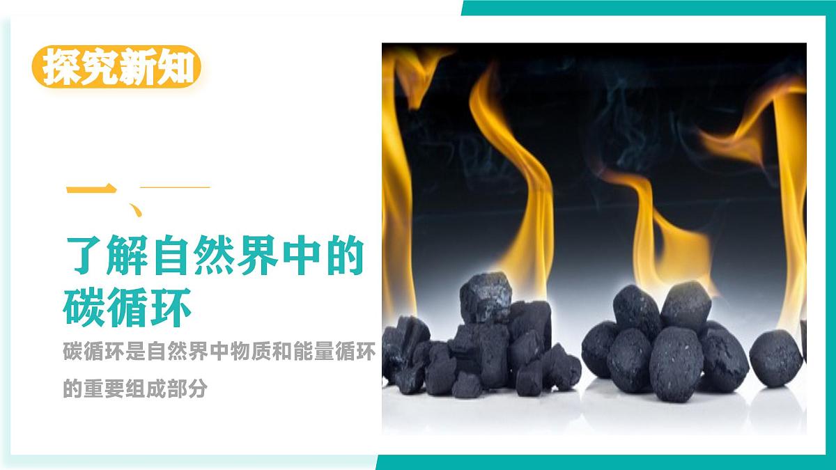 鲁教版（五四制）（2024）化学八年级全册 7.3《 碳达峰与碳中和》  课件第4页