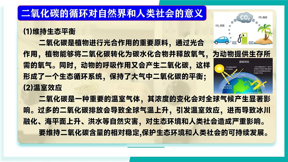 鲁教版（五四制）（2024）化学八年级全册 7.3《 碳达峰与碳中和》  课件第8页