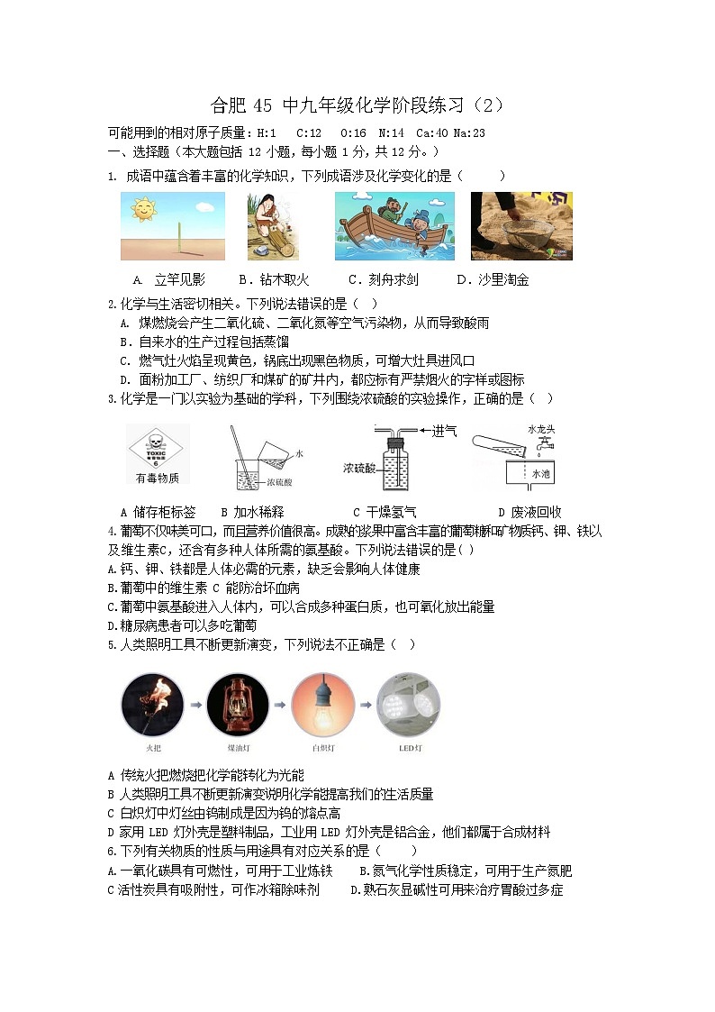 【9化二模】2025年安徽合肥市第四十五中学九年级中考二模化学试卷第1页