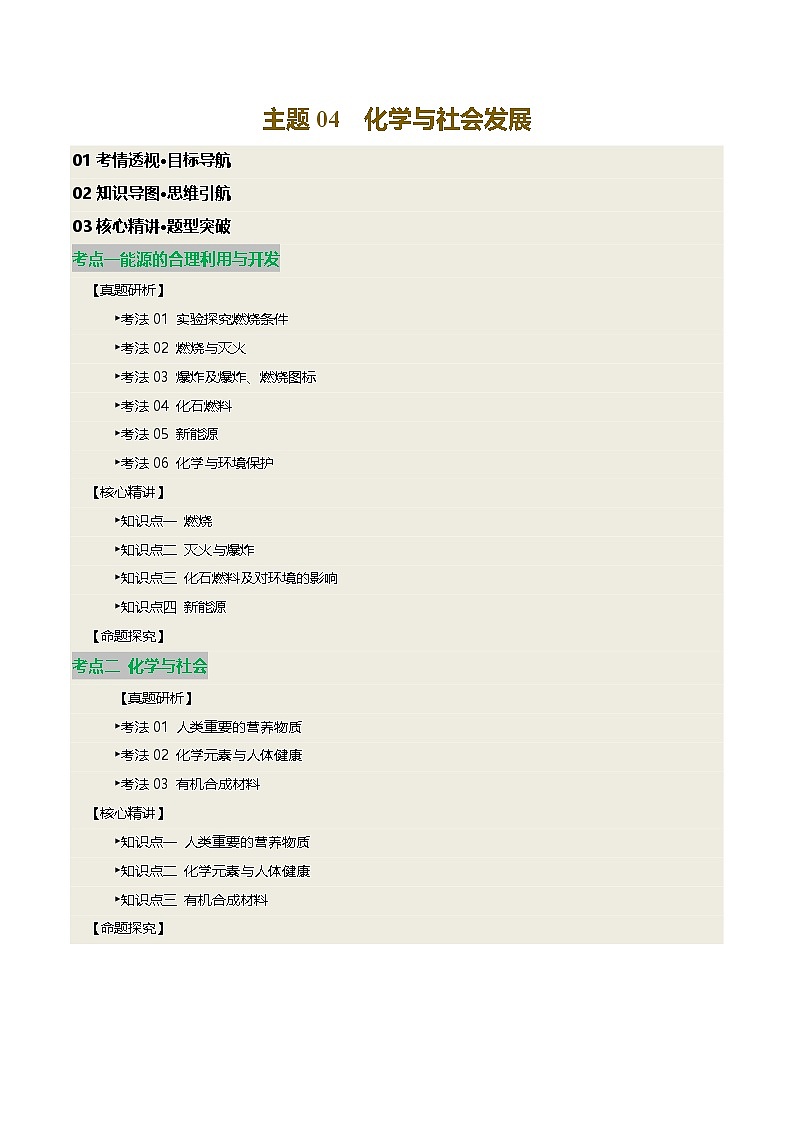 2025人教版九年级中考化学专题知识真题讲练  主题04 化学与社会发展第1页