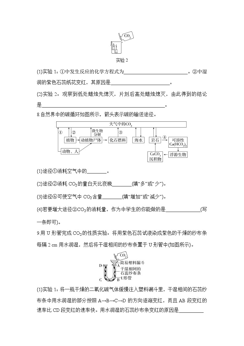 人教版化学九年级上册第六单元课题3   二氧化碳和一氧化碳  第1课时　二氧化碳课时训练（含答案）第3页